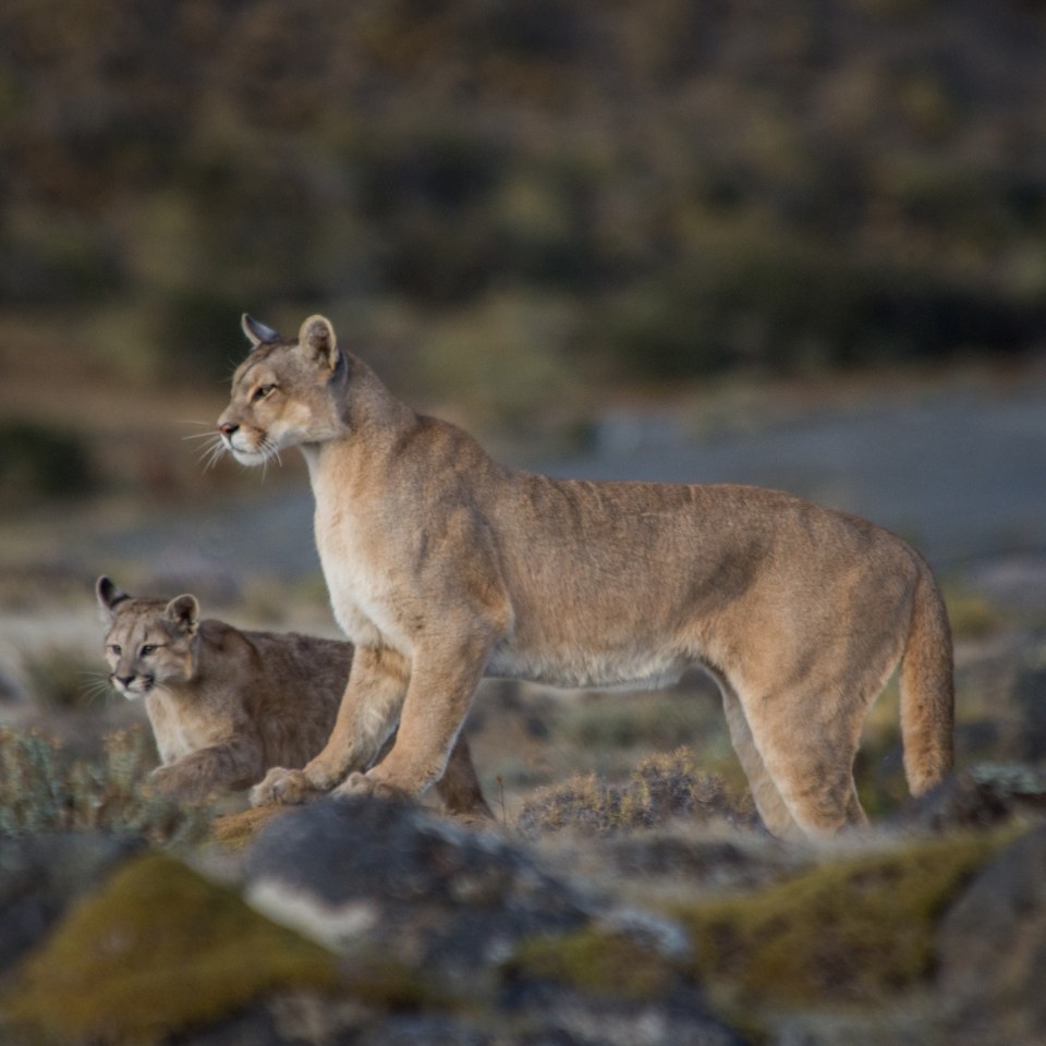 Trekkingabenteuer im Land der Extreme